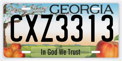 GA license plate CXZ3313