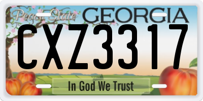 GA license plate CXZ3317