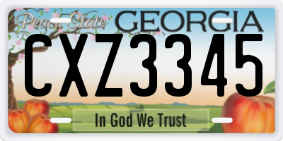 GA license plate CXZ3345
