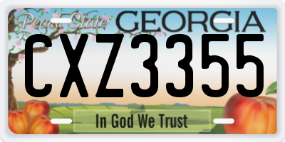 GA license plate CXZ3355