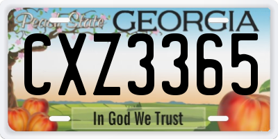 GA license plate CXZ3365
