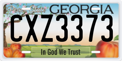 GA license plate CXZ3373