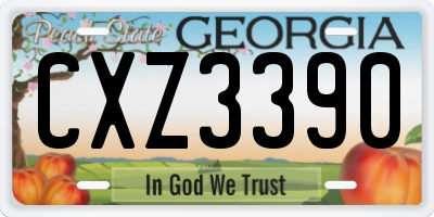 GA license plate CXZ3390