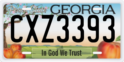 GA license plate CXZ3393