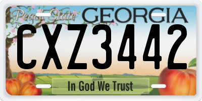 GA license plate CXZ3442