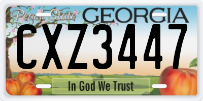 GA license plate CXZ3447