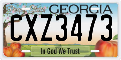 GA license plate CXZ3473