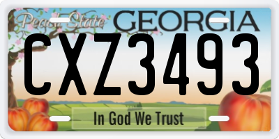 GA license plate CXZ3493