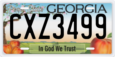 GA license plate CXZ3499