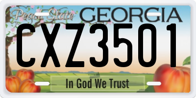 GA license plate CXZ3501