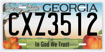 GA license plate CXZ3512