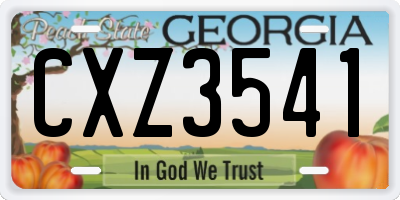 GA license plate CXZ3541