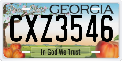 GA license plate CXZ3546