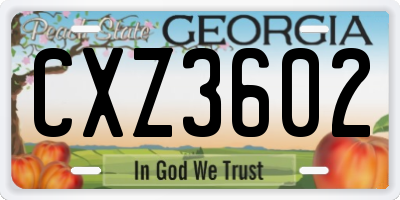 GA license plate CXZ3602