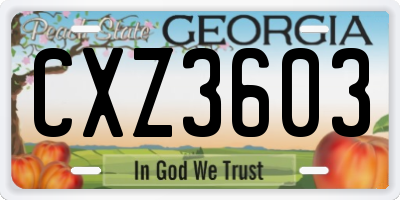 GA license plate CXZ3603