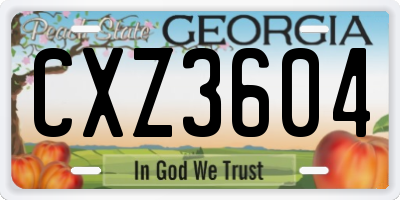 GA license plate CXZ3604