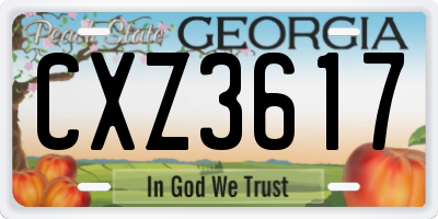 GA license plate CXZ3617