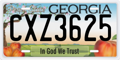 GA license plate CXZ3625