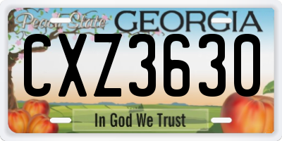 GA license plate CXZ3630