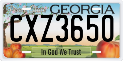 GA license plate CXZ3650