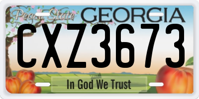 GA license plate CXZ3673