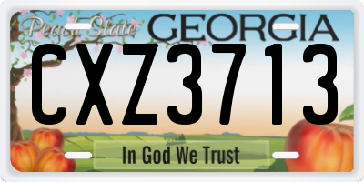 GA license plate CXZ3713