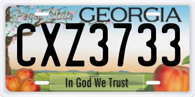 GA license plate CXZ3733
