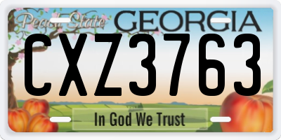 GA license plate CXZ3763