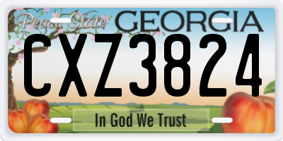 GA license plate CXZ3824
