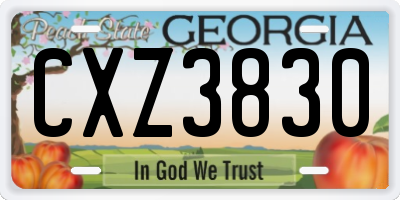 GA license plate CXZ3830