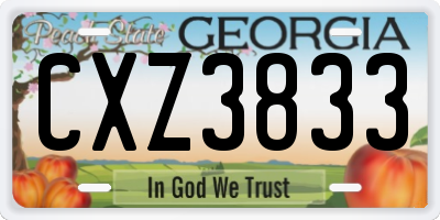 GA license plate CXZ3833