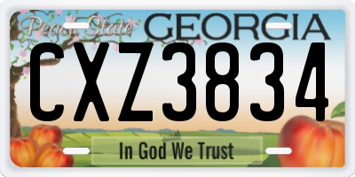 GA license plate CXZ3834