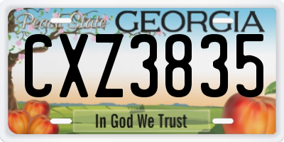 GA license plate CXZ3835
