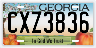 GA license plate CXZ3836