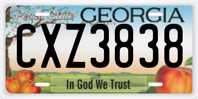 GA license plate CXZ3838