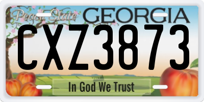 GA license plate CXZ3873