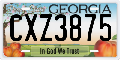 GA license plate CXZ3875