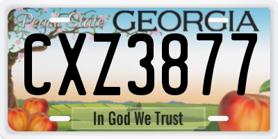 GA license plate CXZ3877