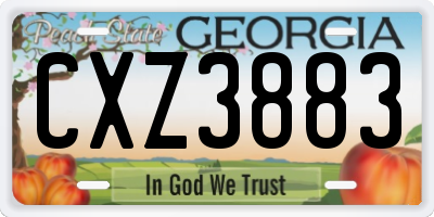 GA license plate CXZ3883