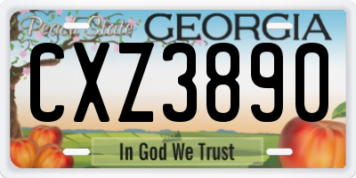 GA license plate CXZ3890