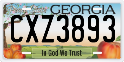 GA license plate CXZ3893