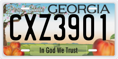 GA license plate CXZ3901