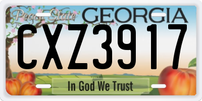 GA license plate CXZ3917