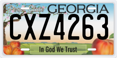 GA license plate CXZ4263