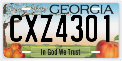 GA license plate CXZ4301