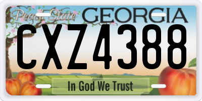 GA license plate CXZ4388
