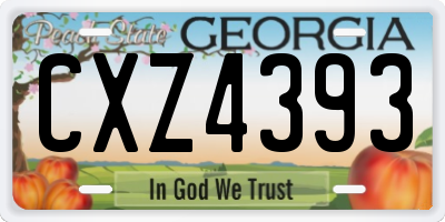 GA license plate CXZ4393