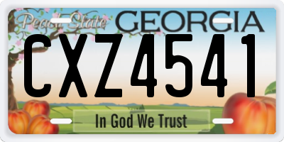 GA license plate CXZ4541