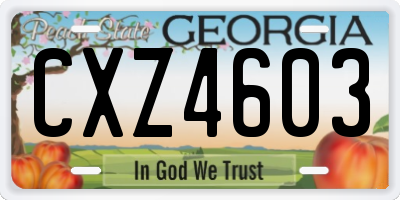 GA license plate CXZ4603