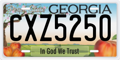 GA license plate CXZ5250